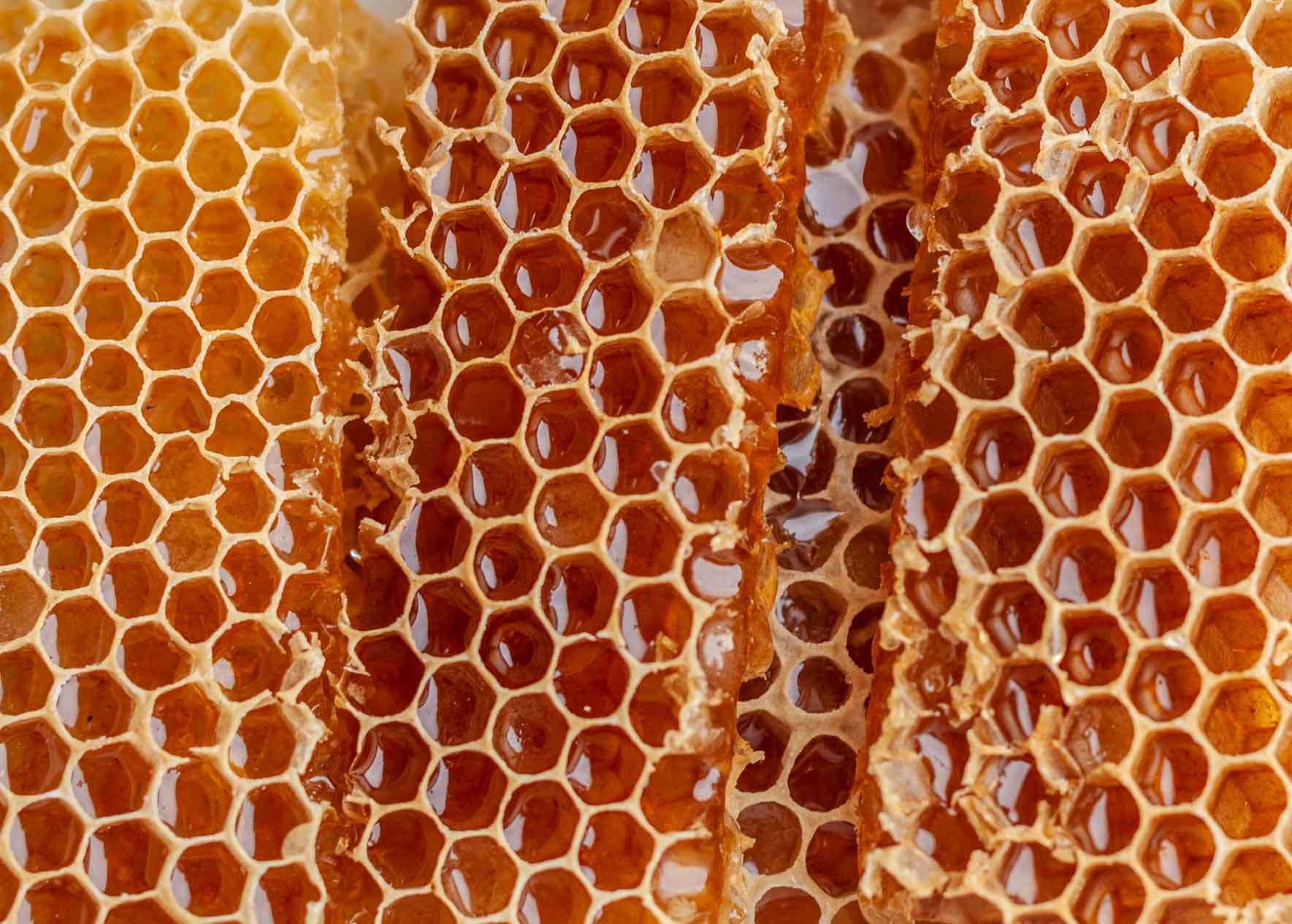 From Hive to Table